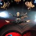  P!nk performs during 'The Truth About Love' tour 